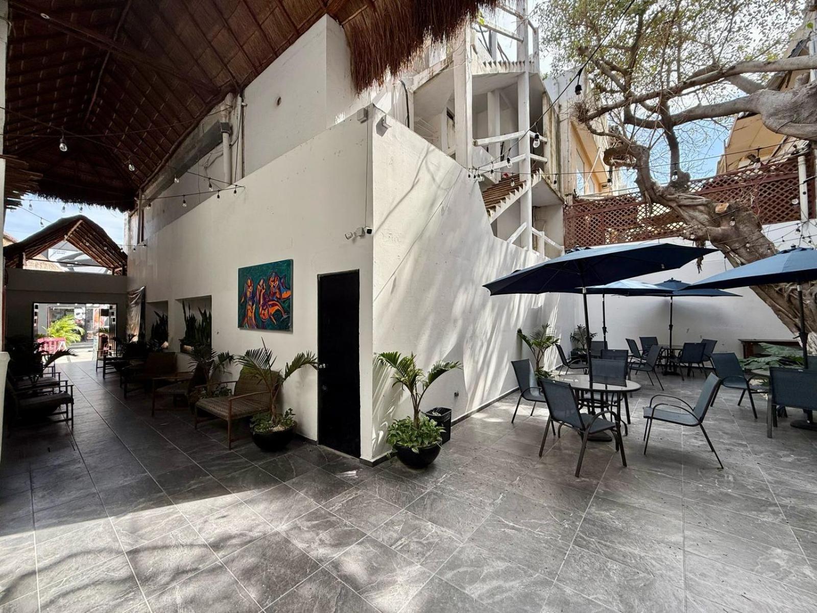 Casa Tortuga 5Th Ave Hotel Playa del Carmen Exterior photo